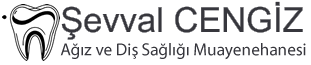 dtsevvalcengiz